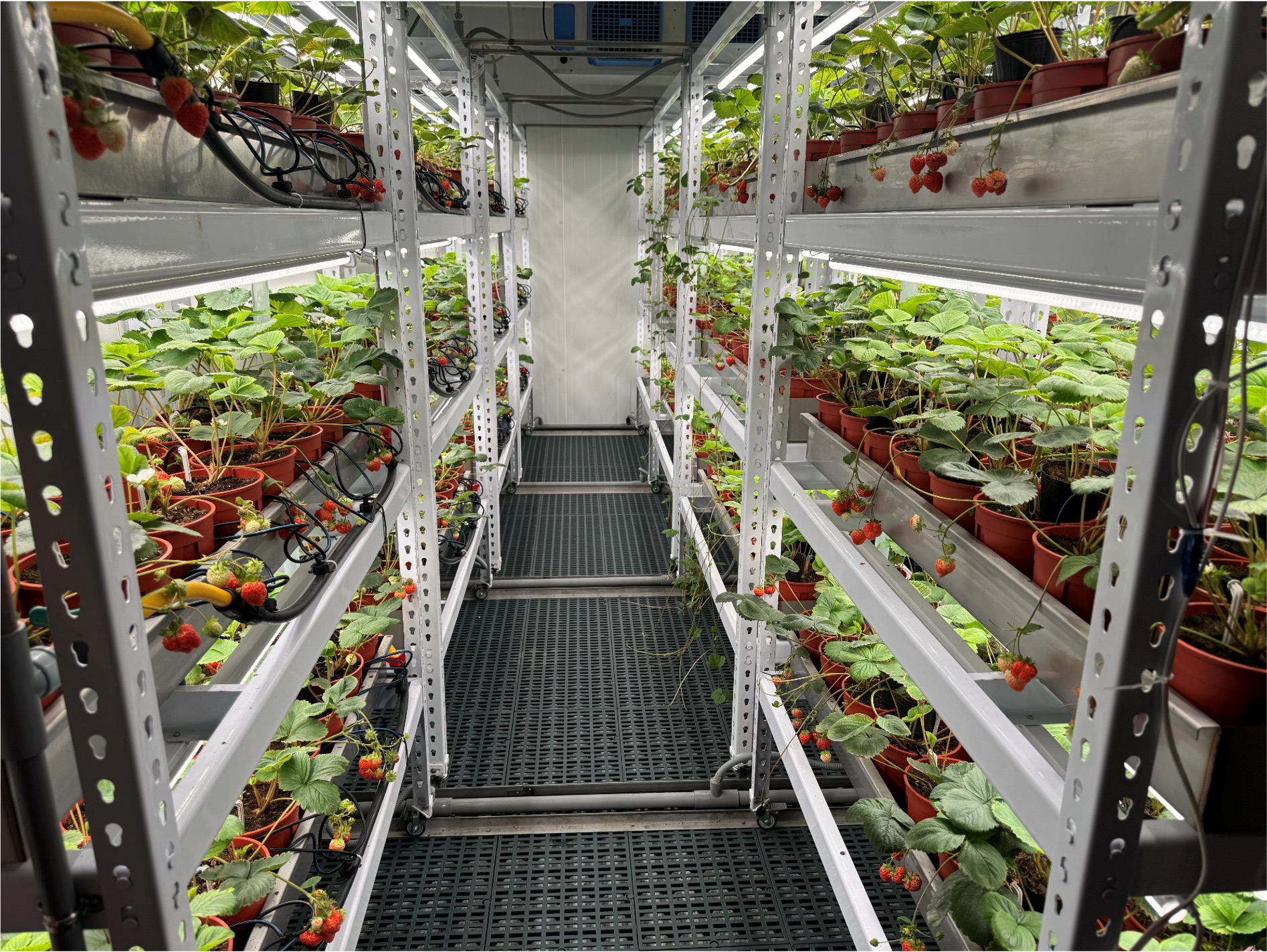 Mobile farming system